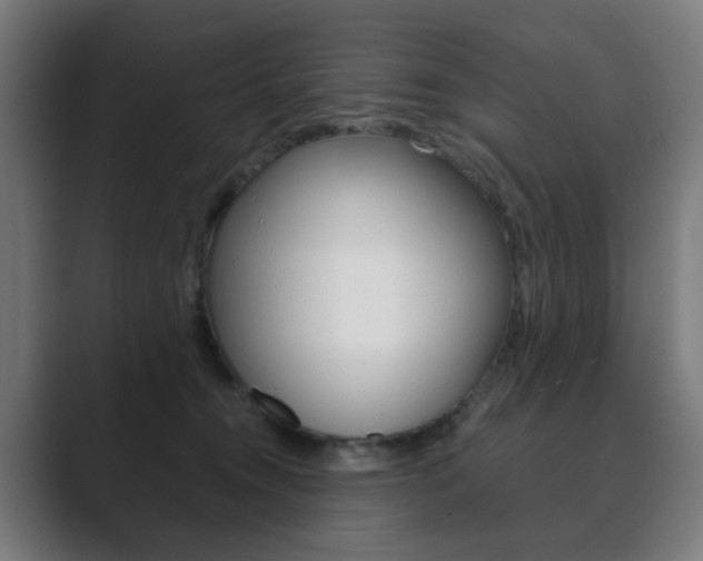 X0000089850372200706281025