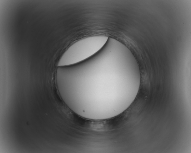X0000089850373200706281025
