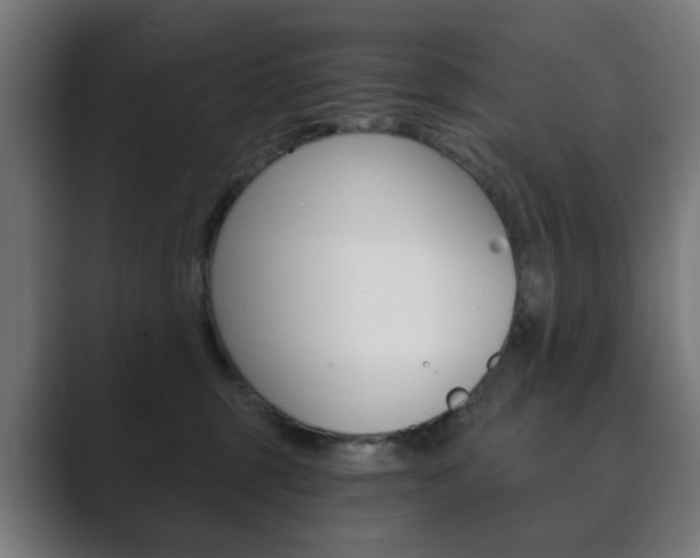 X0000089850375200706281025