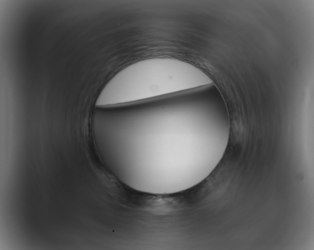 X0000089850379200706281025