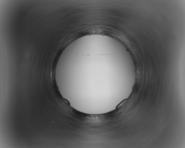 X0000089850381200706281025
