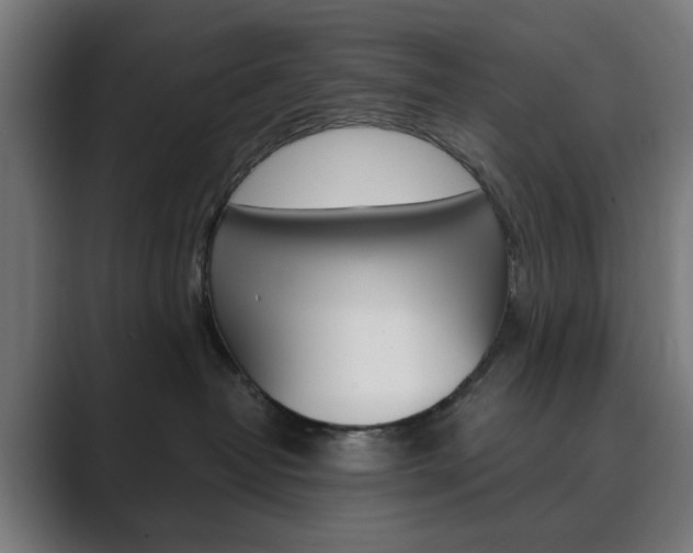 X0000089850382200706281025