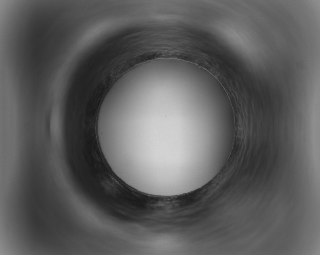 X0000089850383200706281025