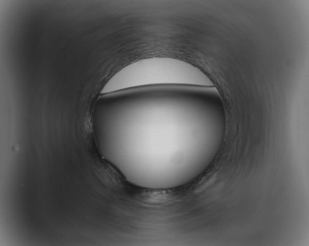 X0000089850384200706281025