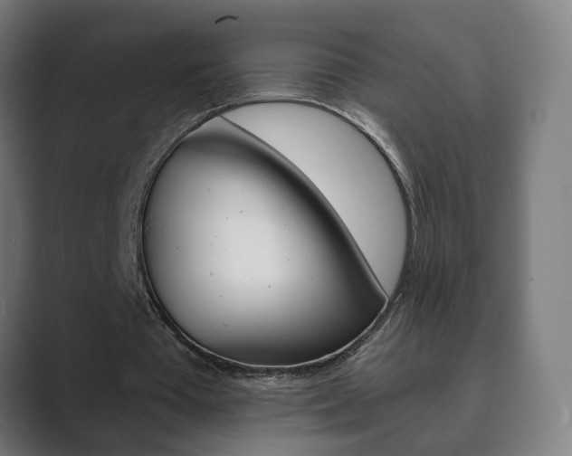 X0000089850385200706281025
