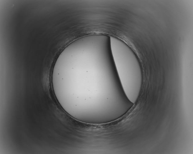 X0000089850386200706281025