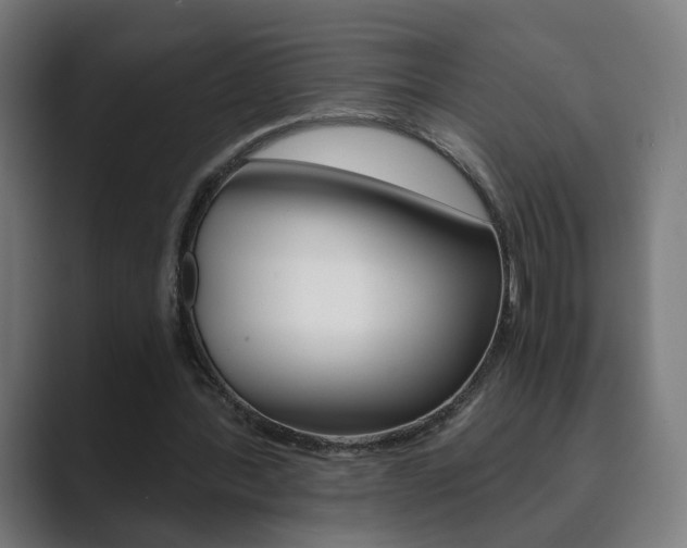 X0000089850388200706281025