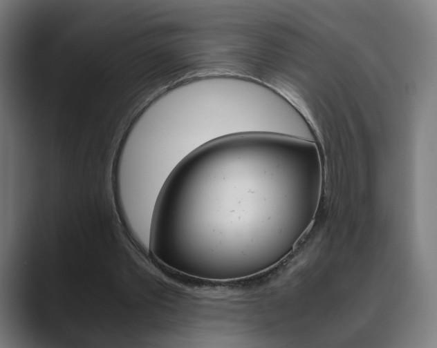X0000089850389200706281025