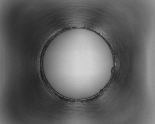 X0000089850390200706281025