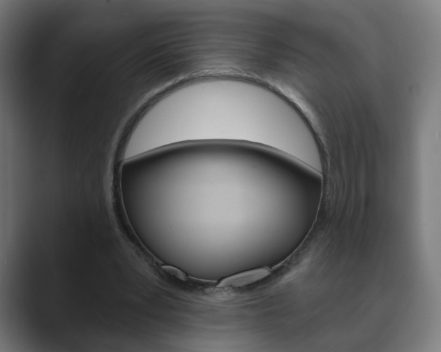 X0000089850391200706281025
