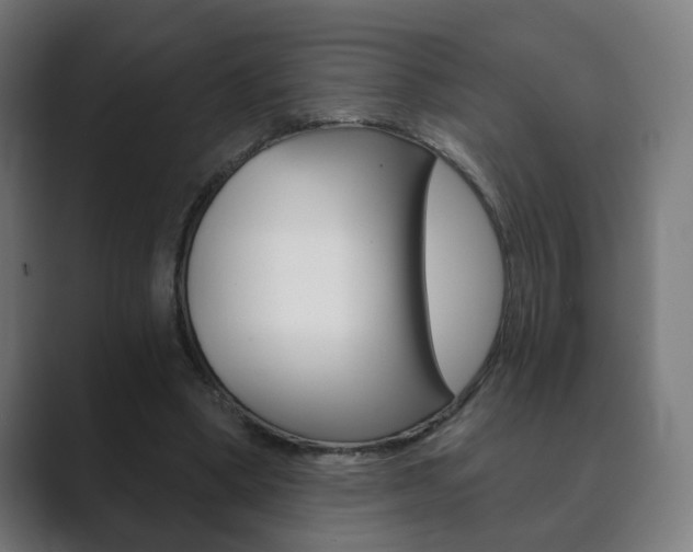 X0000089850394200706281025