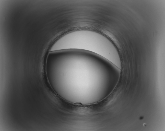 X0000089850399200706281025