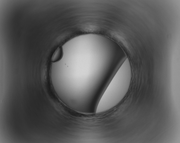 X0000089850400200706281025