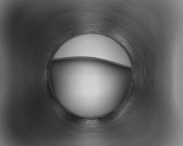 X0000089850401200706281025