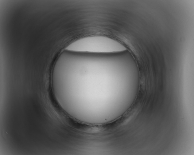 X0000089850402200706281025