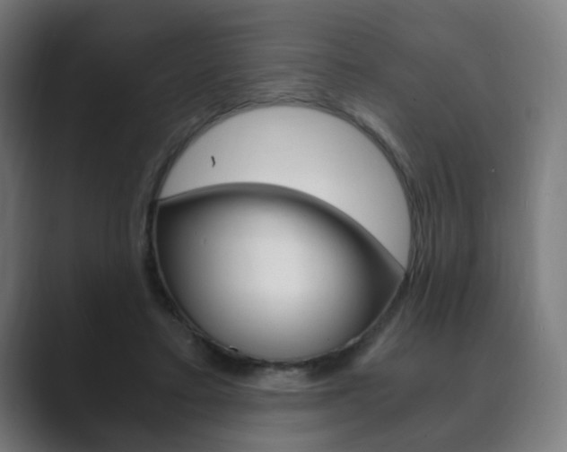 X0000089850403200706281025