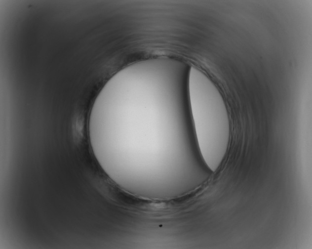X0000089850406200706281025