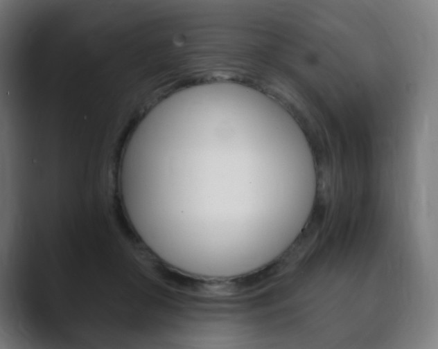 X0000089850410200706281025