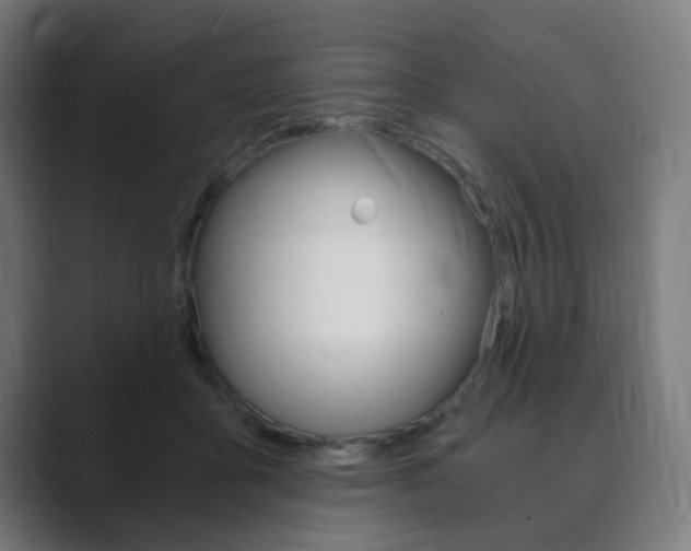 X0000089850411200706281024