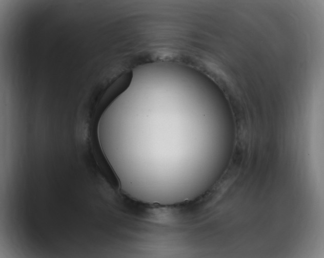 X0000089850417200706281024