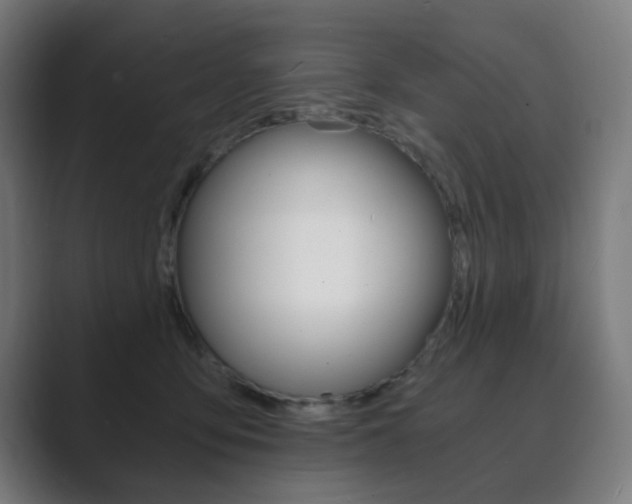 X0000089850419200706281024