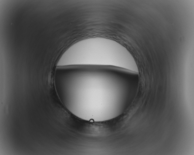 X0000089850420200706281024