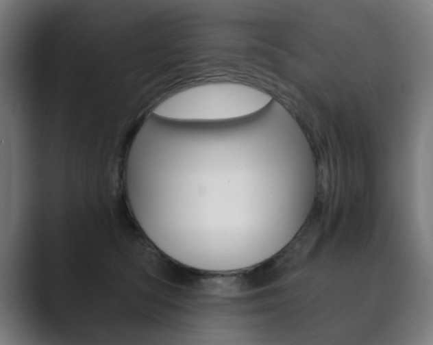 X0000089850422200706281024