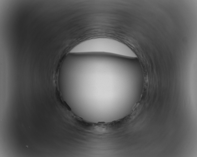 X0000089850423200706281024