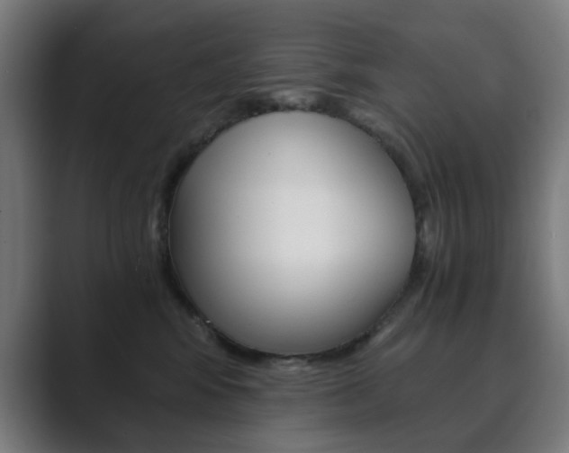 X0000089850424200706281024