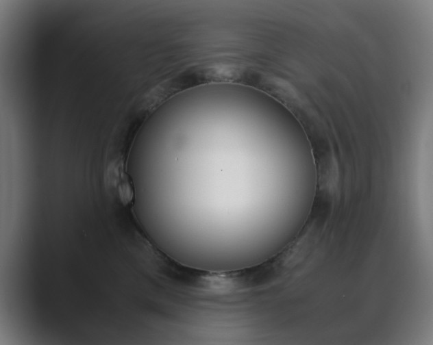 X0000089850425200706281024
