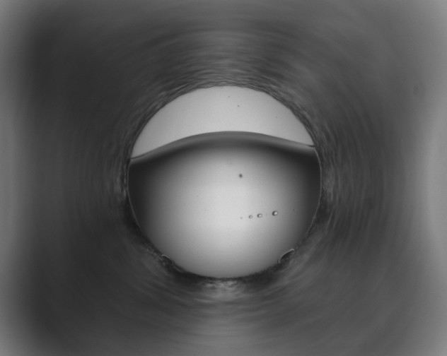 X0000089850428200706281024