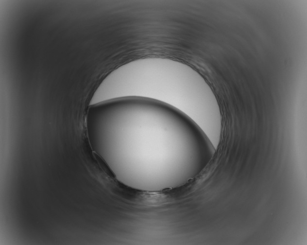 X0000089850429200706281024