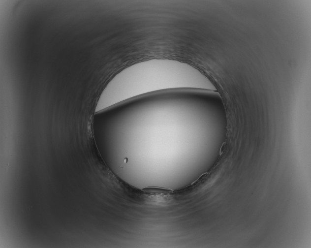 X0000089850432200706281024