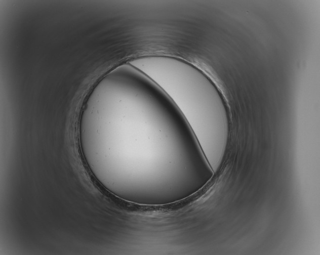 X0000089850433200706281024