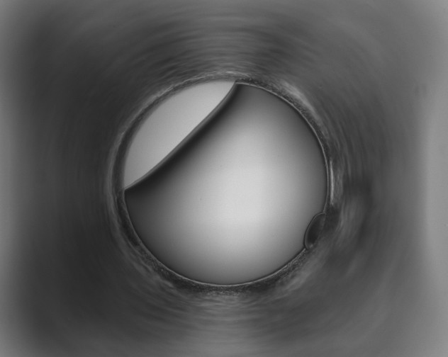 X0000089850435200706281024