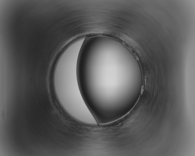 X0000089850436200706281024