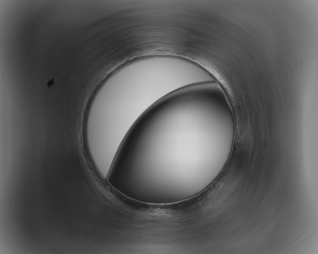 X0000089850437200706281024