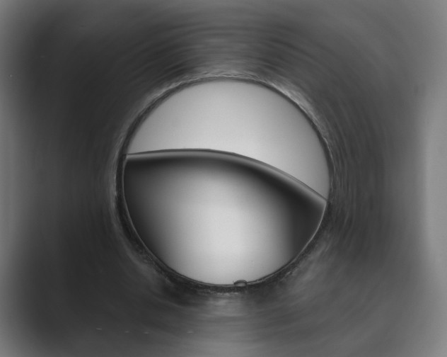 X0000089850438200706281024