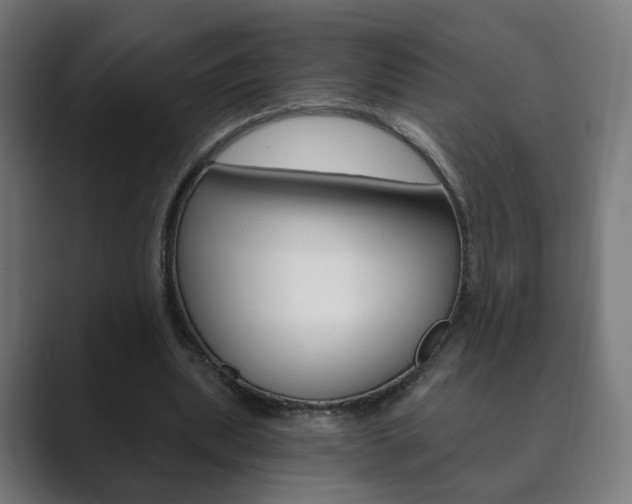 X0000089850439200706281024