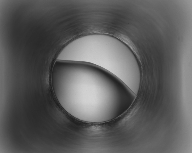 X0000089850441200706281024