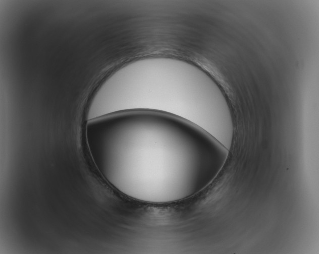 X0000089850442200706281024