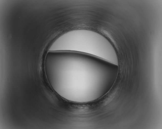 X0000089850443200706281024