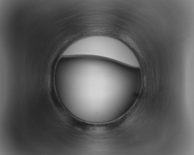 X0000089850444200706281024