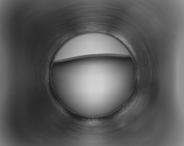 X0000089850445200706281024