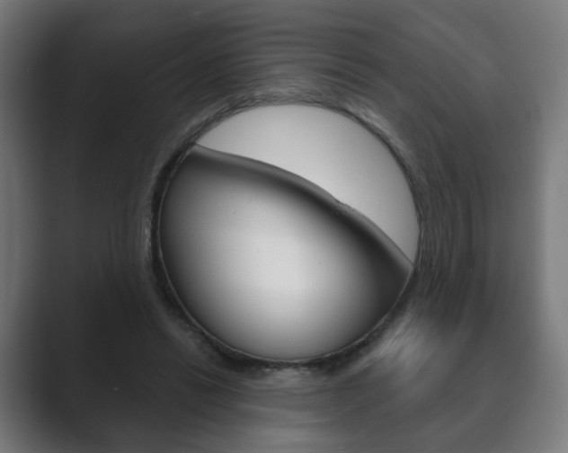 X0000089850446200706281024
