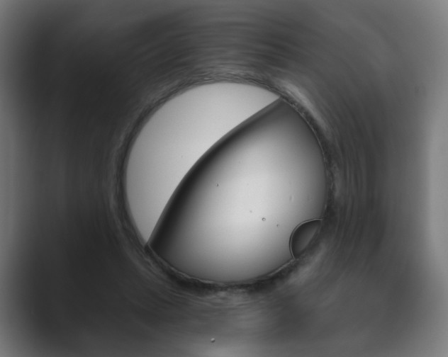X0000089850447200706281024