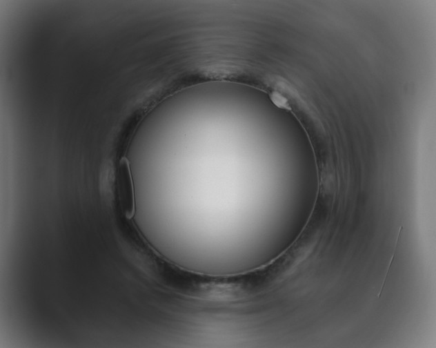 X0000089850448200706281024