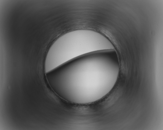 X0000089850449200706281024