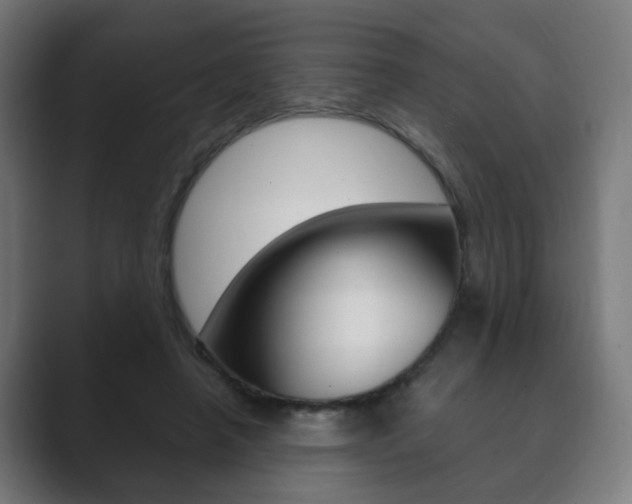 X0000089850450200706281024