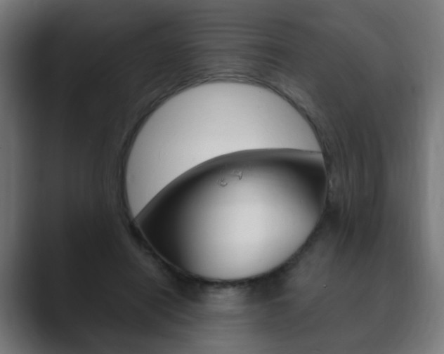 X0000089850454200706281024